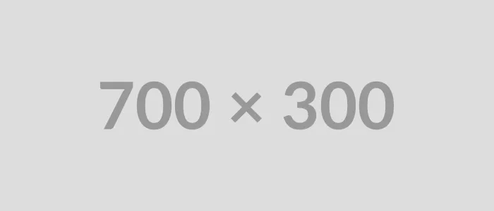 700x300